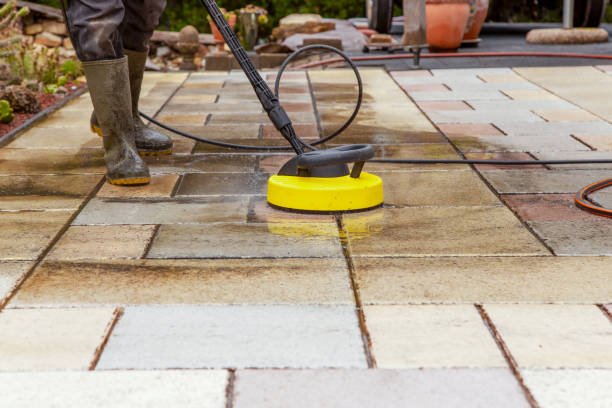 Best Solar Panel Cleaning  in Panorama Village, TX